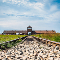 Auchwitz - Birkenau